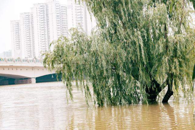 南京OK，坐等水退