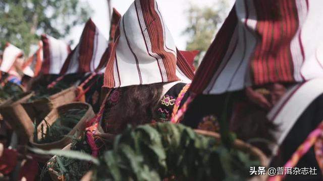 云南这些「隐秘的角落」，才是茶人最向往的地方