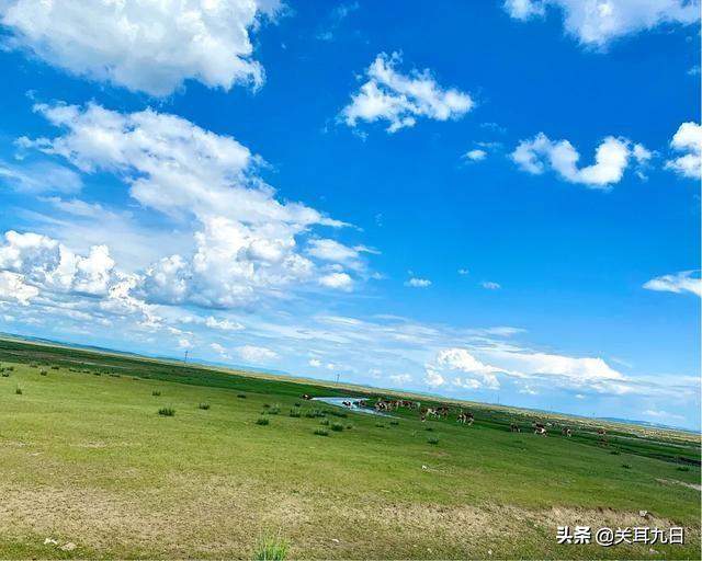 内蒙古贡格尔草原自驾游旅行，出游必去景点之一。