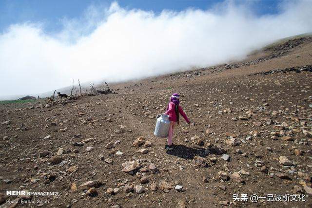 伊朗北方天然牧场，不仅牛羊肥沃，也是度假和避暑之处