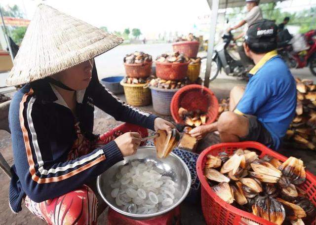 越南人很疑惑：这种水果在我们当地没人吃，为啥中国人吃那么香？