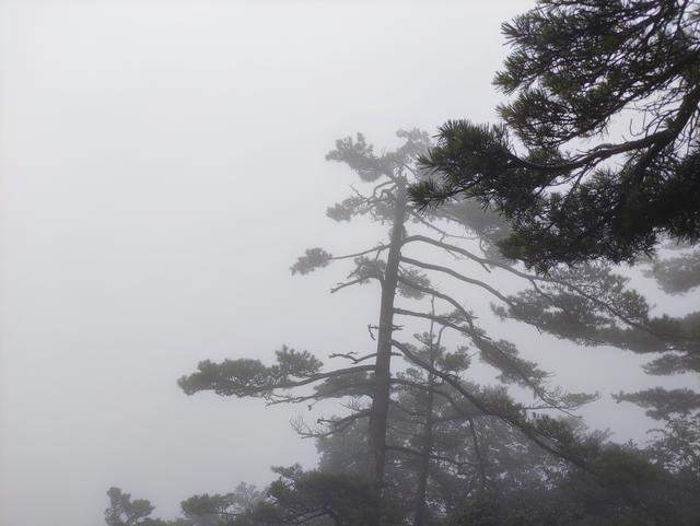 风雨交加的老君山之旅