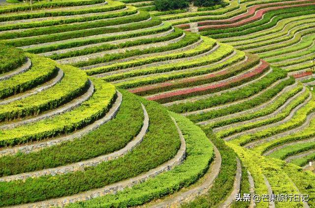 贵州有个古镇，拥有全国唯一的城中花海梯田，看起来像大地的指纹