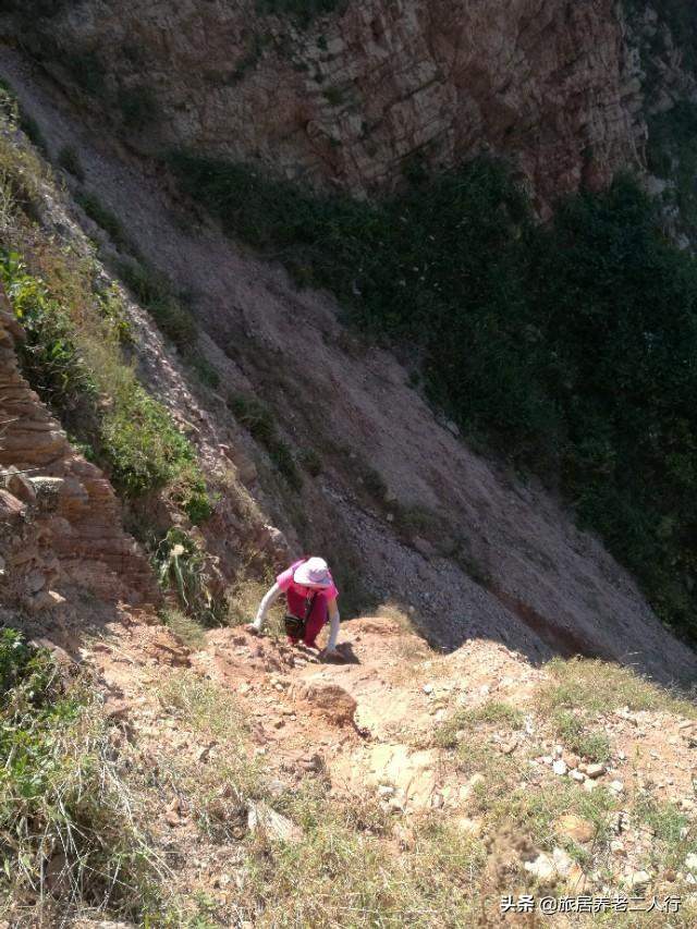 在烟台东口没买到海鲜，沿小路上山，意外的收获这么多，太惊喜了