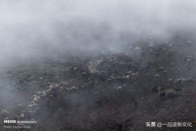 伊朗北方天然牧场，不仅牛羊肥沃，也是度假和避暑之处