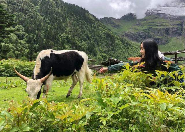 国家通知我出门旅行了