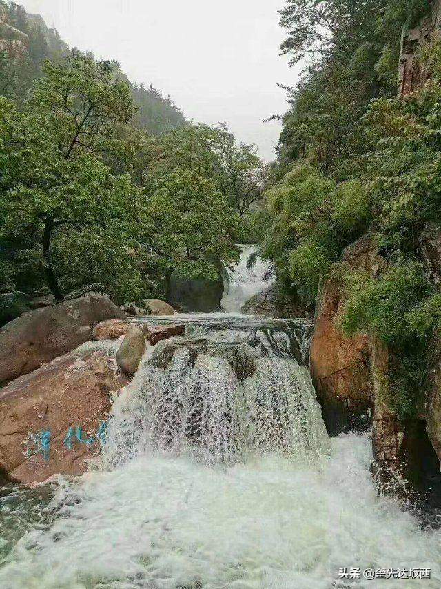 云树翠柏满山绿，雨后九水分外美