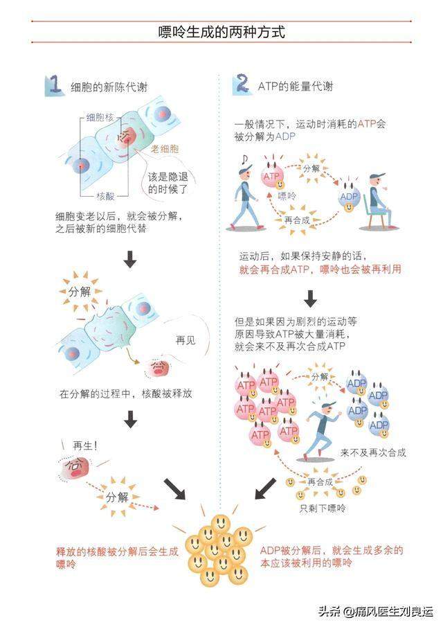 患上痛风检查肾功能不好，如何保肾同时药物降尿酸？