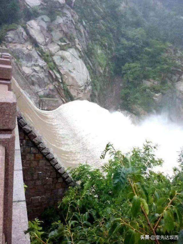 云树翠柏满山绿，雨后九水分外美