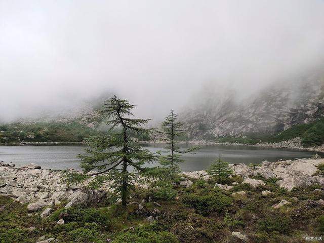 南北穿越太白山，上了拔仙台看到了壮观的云海，实在是不虚此行