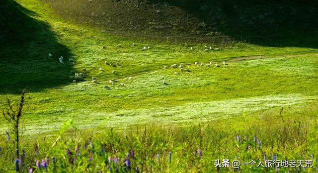 国内必去的100个地方，去过18个，你就是超级旅行达人