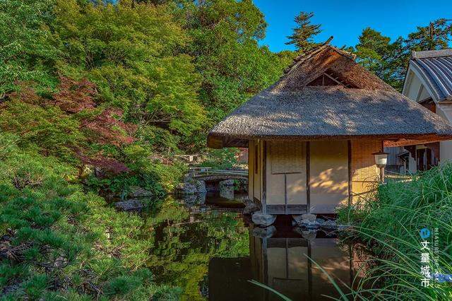 破圈！寺庙文旅新路——日本京都清水寺「祈福之旅」