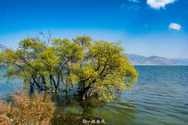 云南最适合避暑看海的地方，摄氏25度以下好舒服，风景美得像屏保