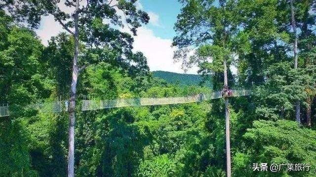 去云南西双版纳旅行，必去的十大景点