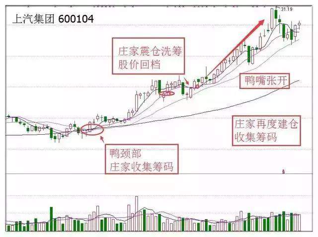 北大女博士罕见发言：全世界股票都是T+0，为何中国股市是T+1？