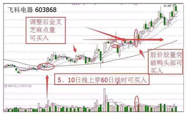 北大女博士罕见发言：全世界股票都是T+0，为何中国股市是T+1？