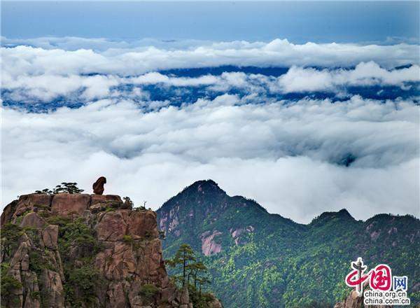 上帝视角俯瞰美景 带你解锁最美黄山（组图）