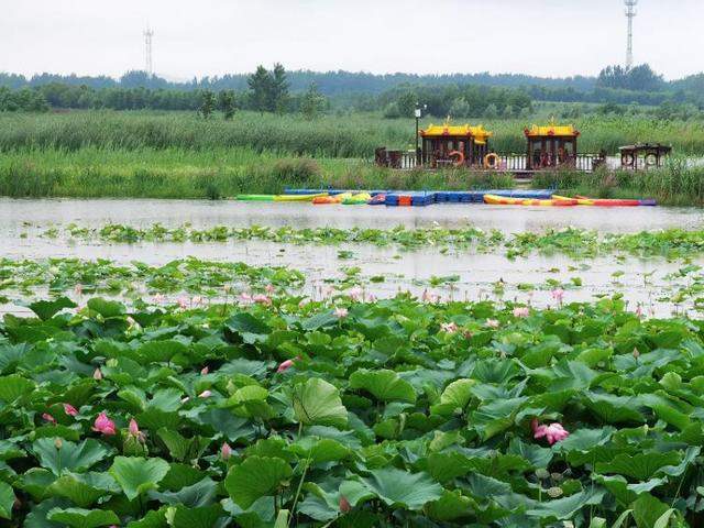 江北古城台儿庄涛沟湿地胜江南