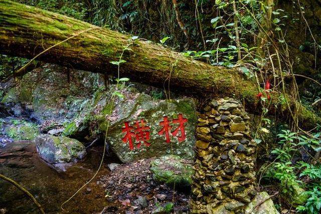 广西柳州最值得去的4A景区，以原始深山野林探险为特色，你想去吗