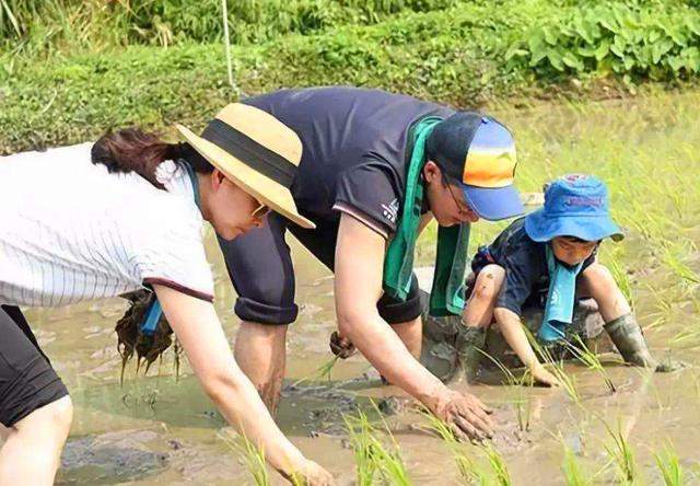 41岁霍启刚弃商从政？揭秘霍震霆千亿儿媳郭晶晶三个孩子都叫啥名