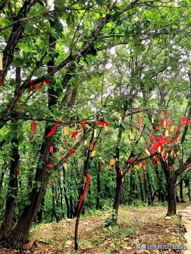 最美乡村路二十八道弯，小伙游玩深山中，险困平谷东指壶峰天子谷