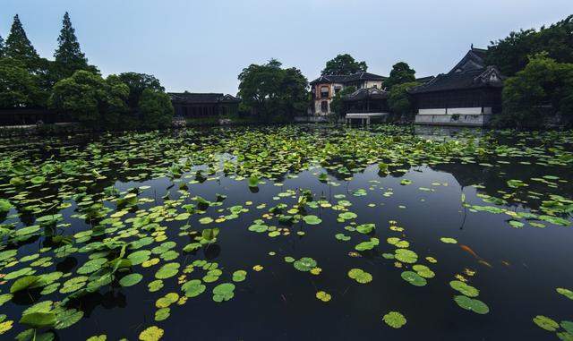 比乌镇清净，比西塘古朴，浙江这座古镇夏天来真的太美了