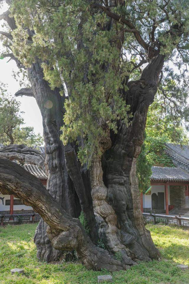 河南嵩山的景色在五岳中能排第几？让我们徒步去看一看