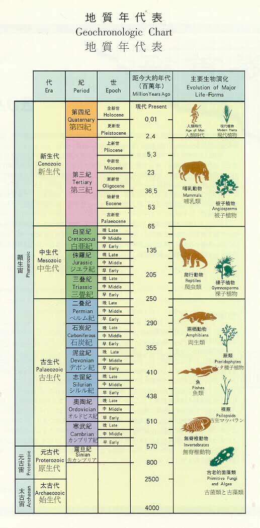 寒武纪这家公司到底是干啥的？