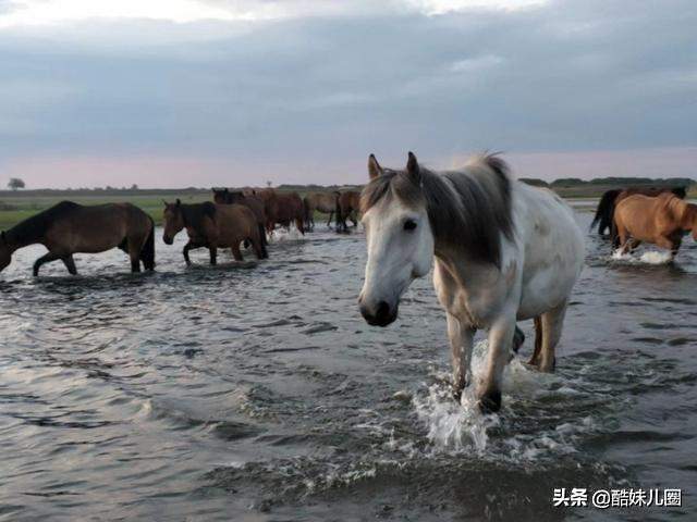 7月，大美呼伦贝尔大草原 最经典游览路线攻略