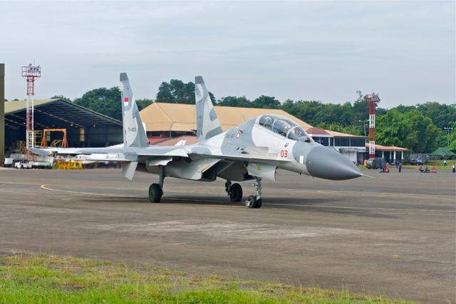 Сухой Су-30/Sukhoi Su-30系列多用途战斗机——综述