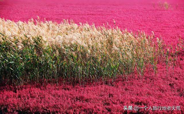 国内必去的100个地方，去过18个，你就是超级旅行达人