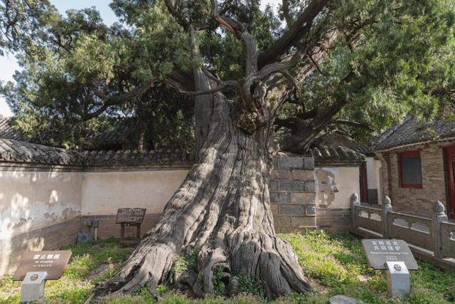 河南嵩山的景色在五岳中能排第几？让我们徒步去看一看