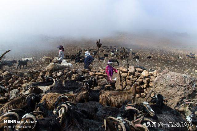 伊朗北方天然牧场，不仅牛羊肥沃，也是度假和避暑之处