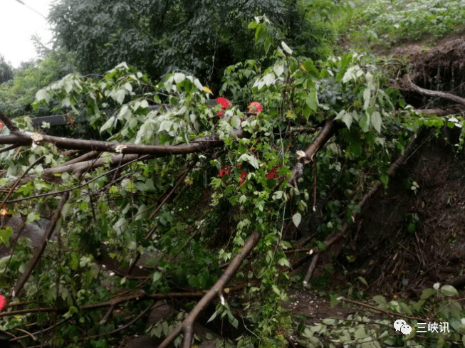 刚拍回来的！万州遭暴雨袭击！