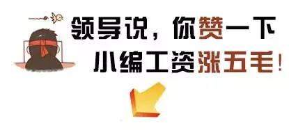 “小黄车”现身兰州 无桩取放 扫码骑走 未来一月将投放10万辆