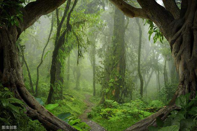 人类的灾难！连烧10多天的亚马逊雨林会不会烧光？