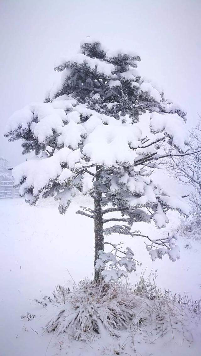 2019峨眉山的第一场雪，让你忘了初恋