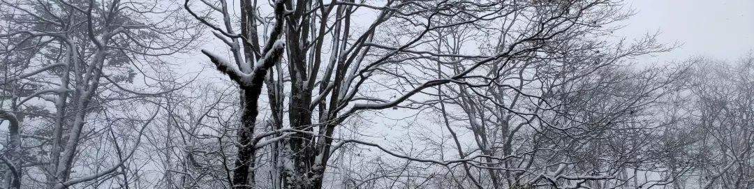 2019峨眉山的第一场雪，让你忘了初恋