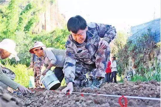 人民大会堂推销土豆，收1500个农民学生，10亿专利无偿送出，64岁的\农民院士\朱有勇火了