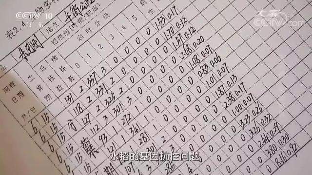 人民大会堂推销土豆，收1500个农民学生，10亿专利无偿送出，64岁的\农民院士\朱有勇火了