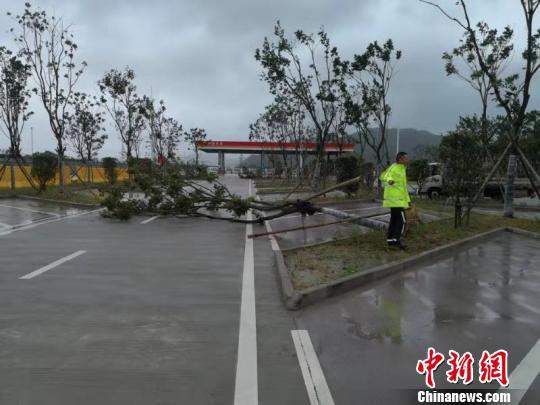 浙江台州启动Ⅰ级台风应急响应 台风利奇马什么时候登陆在哪里登陆