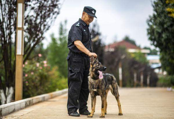 我国首只警用工作克隆犬“昆勋”入警