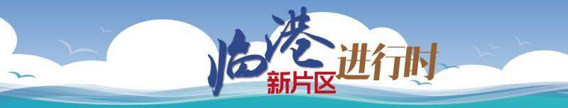 什么样的公务员年薪能达80万？临港新片区正在公开招聘