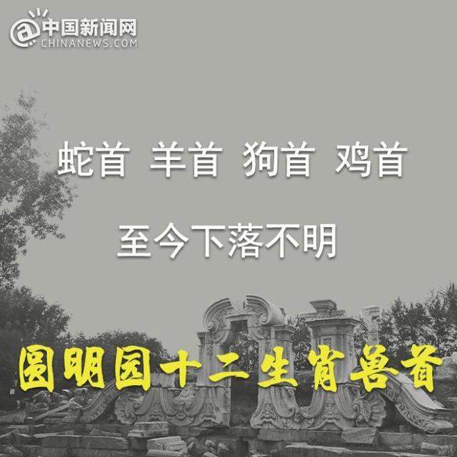 圆明园马首回归怎么回事 圆明园马首回归什么情况现场图