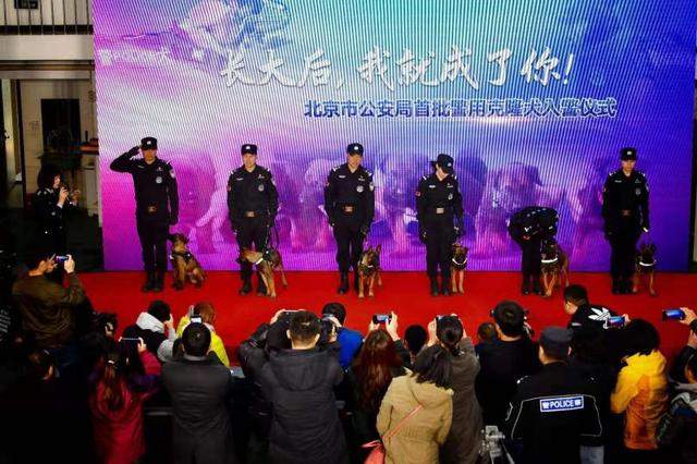 长大后，我就成了你！北京市公安局首批警用克隆犬正式入警