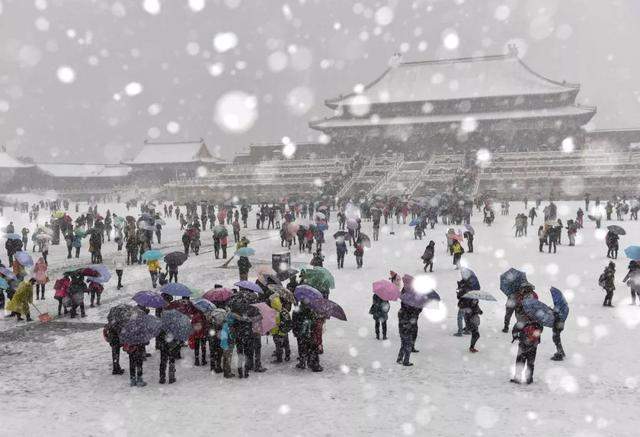 今日小雪，飞雪如花落 岁岁又年年