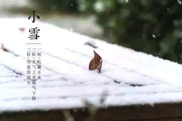 今日小雪，飞雪如花落 岁岁又年年