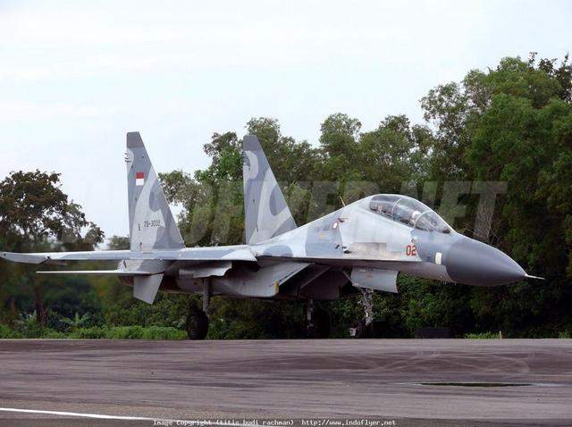 Сухой Су-30/Sukhoi Su-30系列多用途战斗机——综述