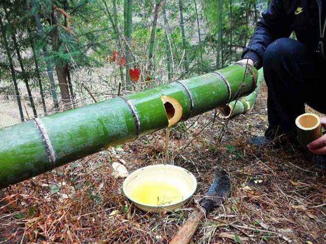 红极一时的竹筒酒，其实是一个骗局，装进去倒出来就卖“天价”