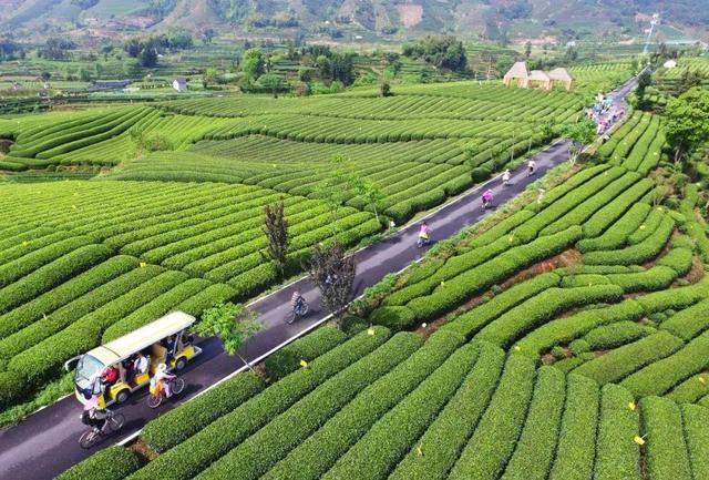 夏日，松阳三天两晚这样玩，附路线